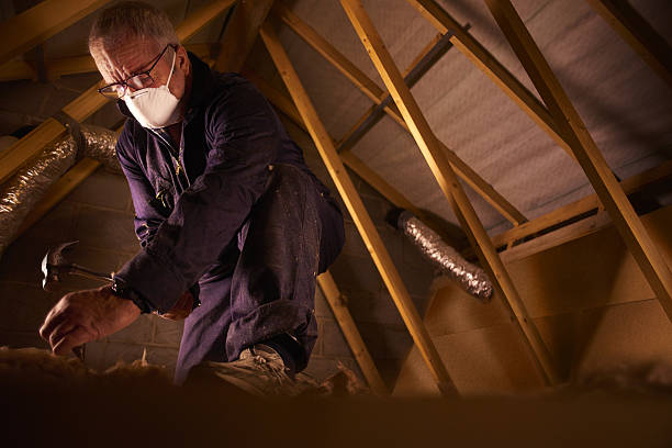 Types of Insulation We Offer in Tualatin, OR